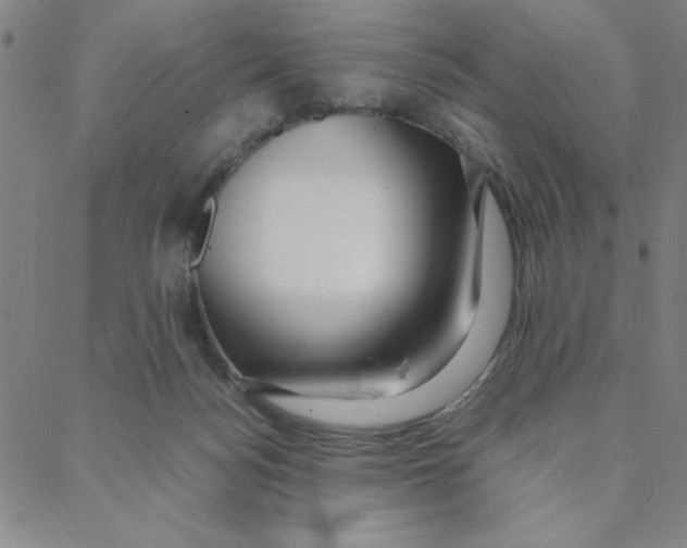 X0000088360172200706191227