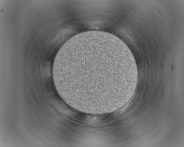 X0000088360174200706191227