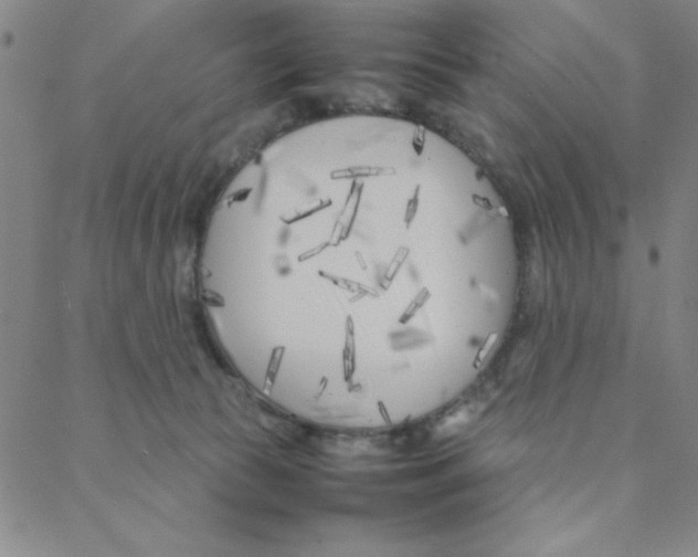 X0000088360177200706191227