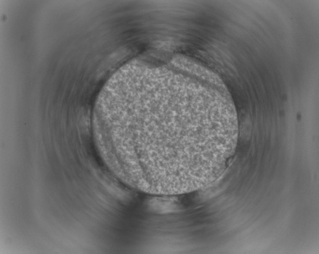 X0000088360179200706191227