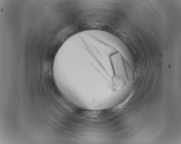 X0000088360182200706191227