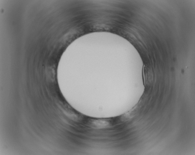 X0000088360183200706191227