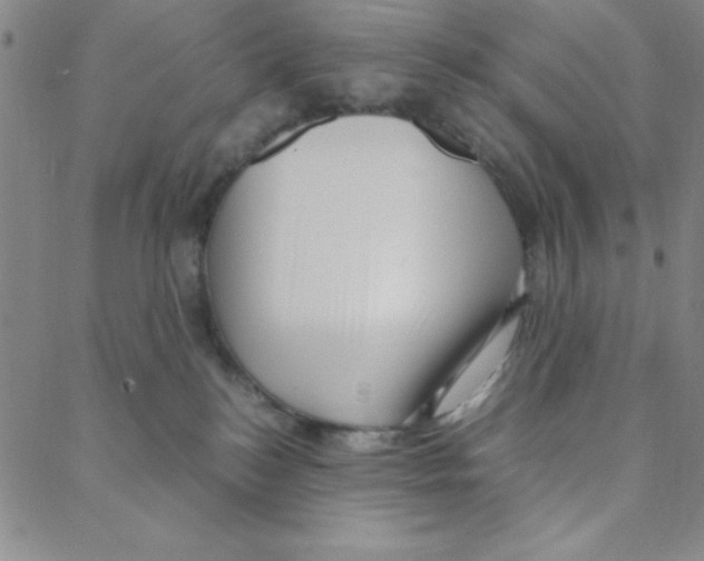 X0000088360184200706191227