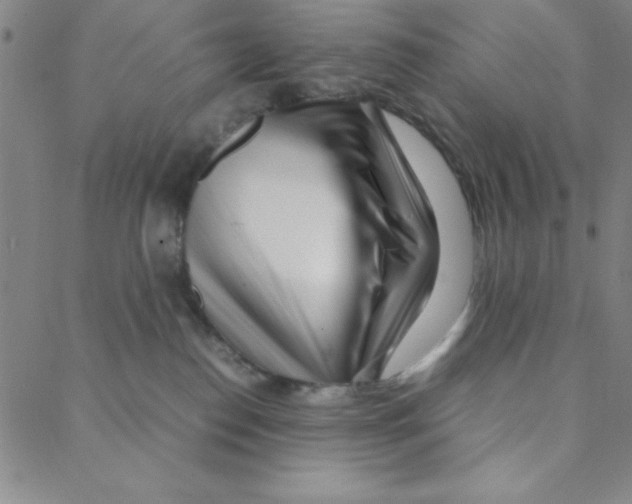 X0000088360186200706191227
