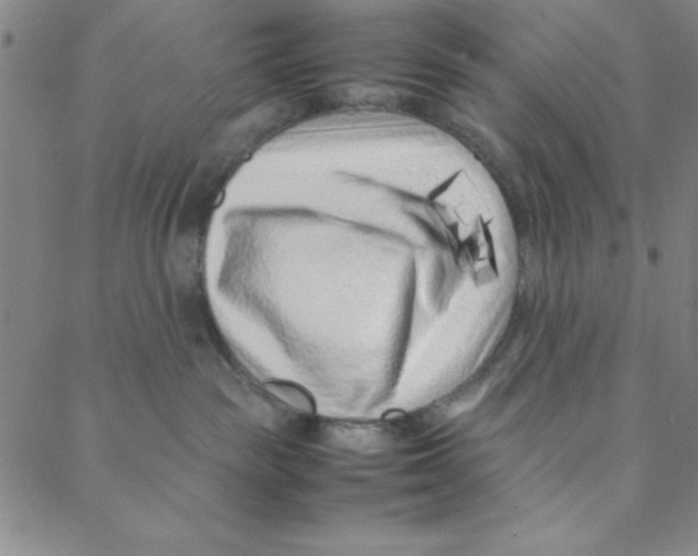 X0000088360189200706191227