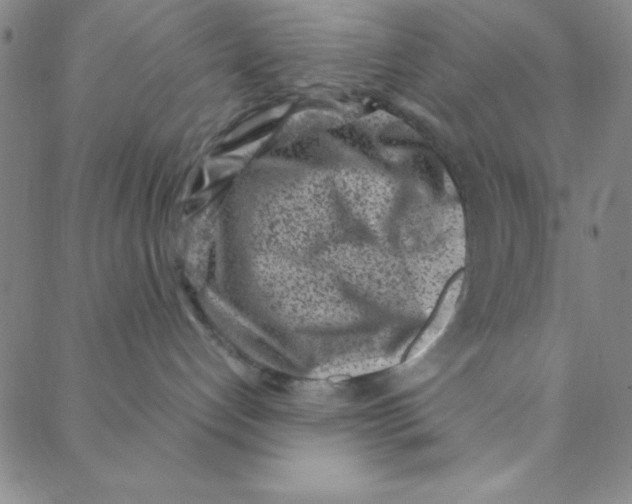 X0000088360192200706191227