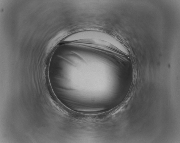 X0000088360197200706191227