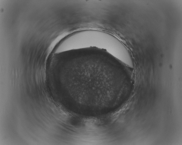 X0000088360200200706191226