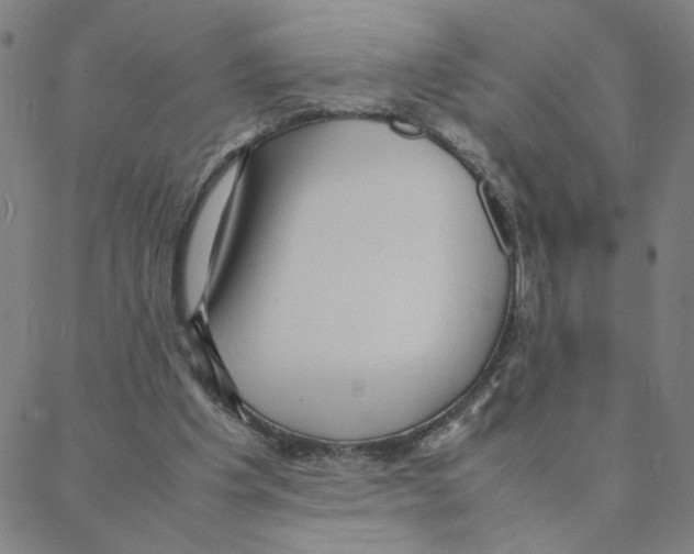 X0000088360201200706191226