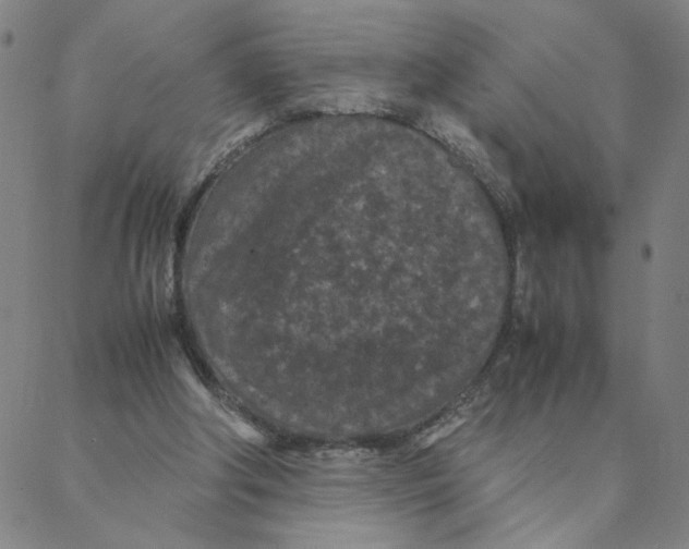 X0000088360202200706191226