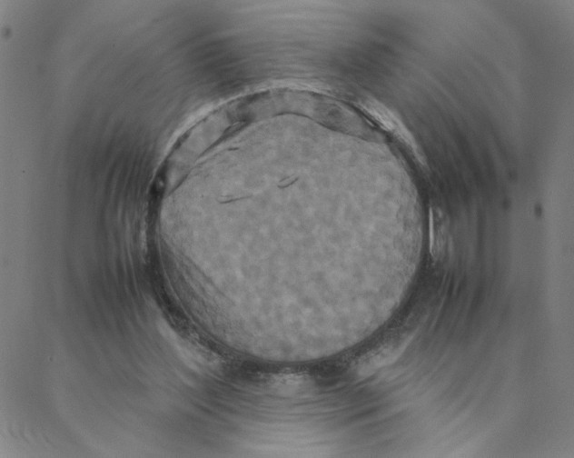 X0000088360204200706191226