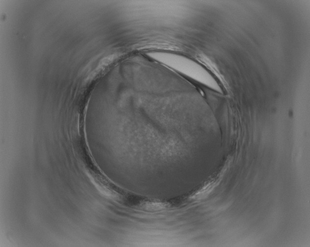 X0000088360205200706191226