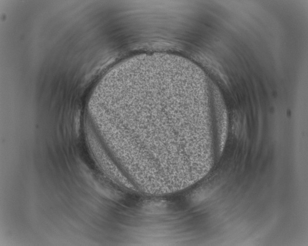 X0000088360206200706191226