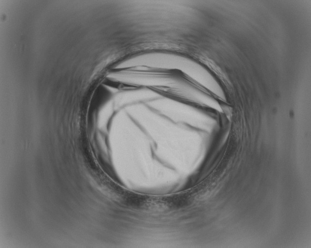 X0000088360207200706191226