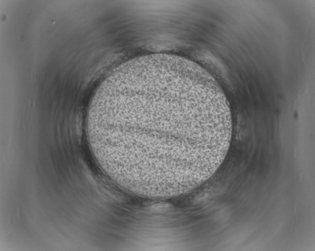 X0000088360210200706191226