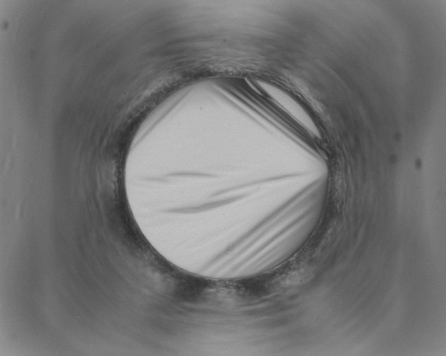 X0000088360211200706191226