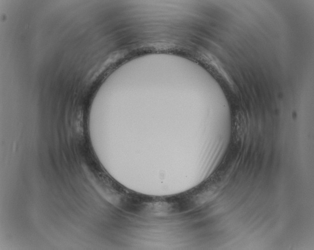 X0000088360212200706191226