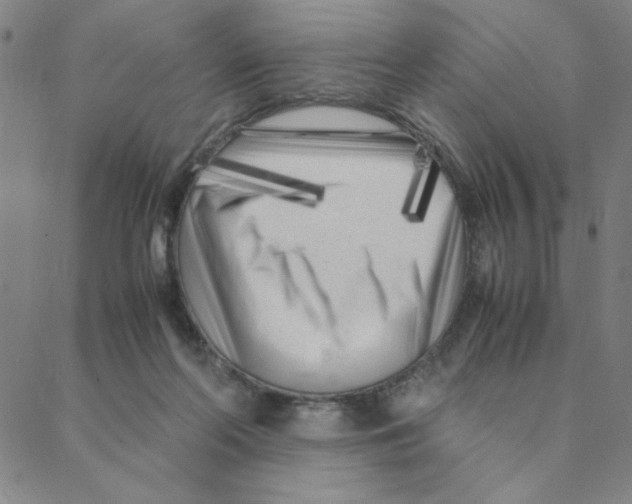 X0000088360214200706191226
