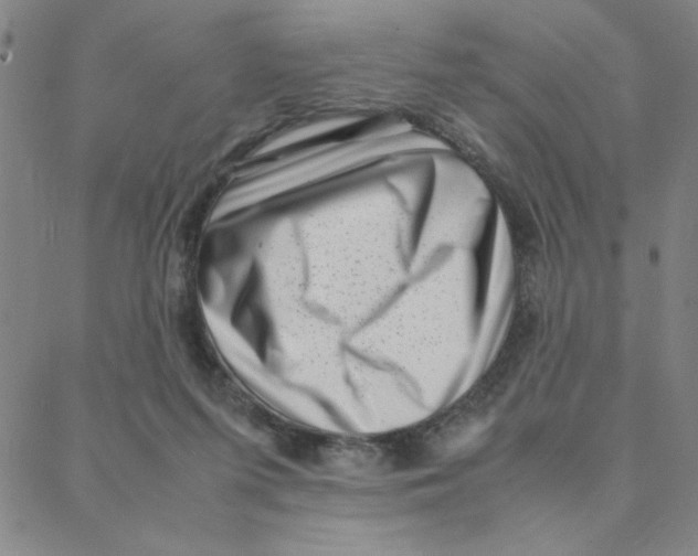 X0000088360215200706191226