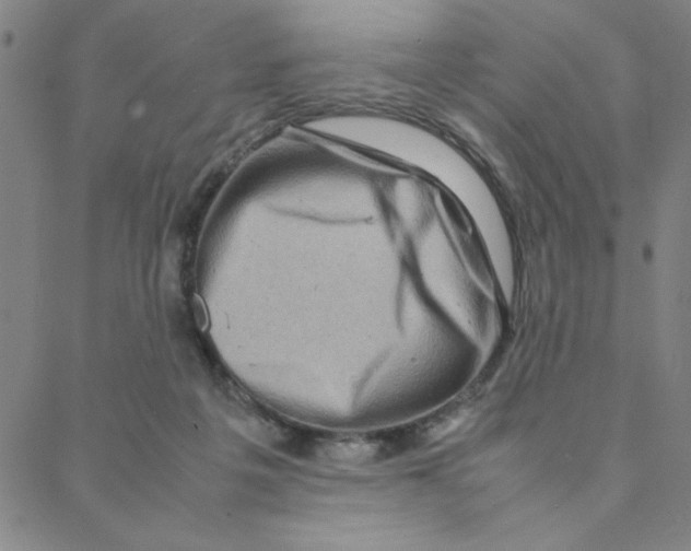 X0000088360217200706191226