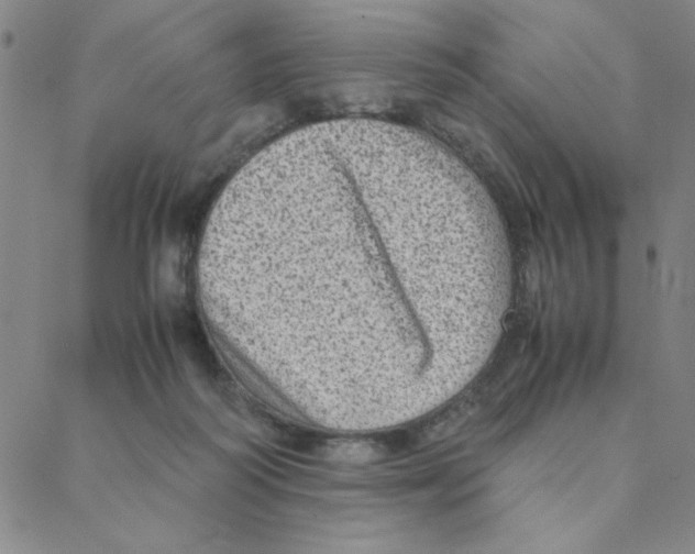 X0000088360218200706191226