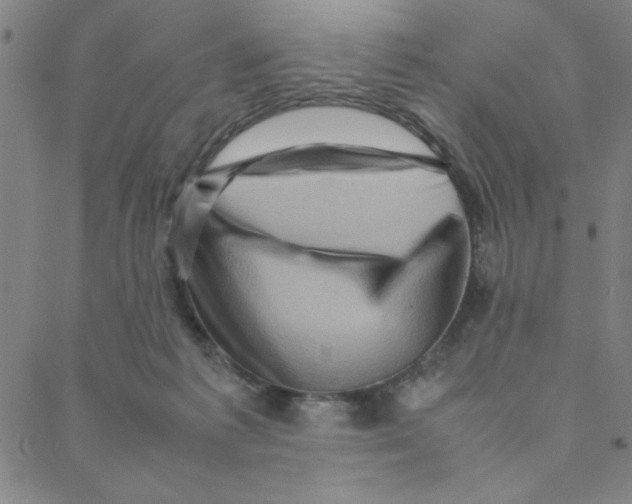 X0000088360221200706191226