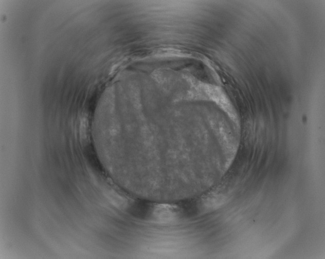 X0000088360222200706191226