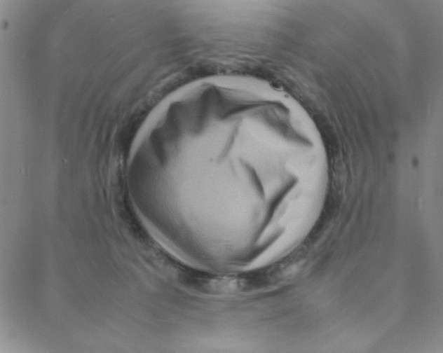 X0000088360225200706191226
