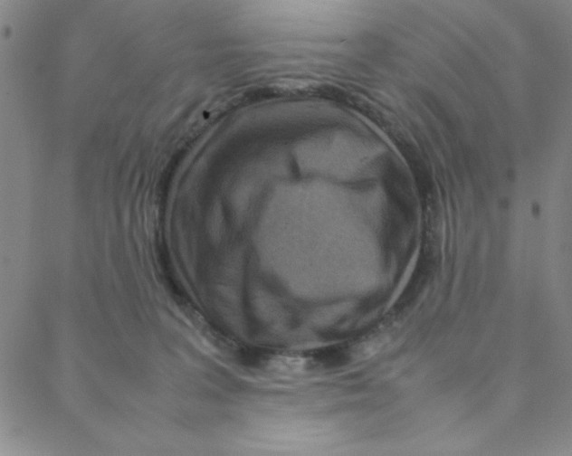X0000088360227200706191226