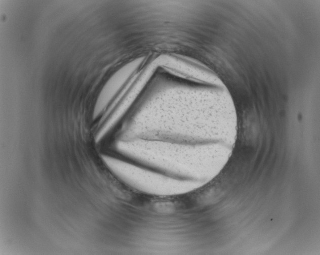 X0000088360228200706191226