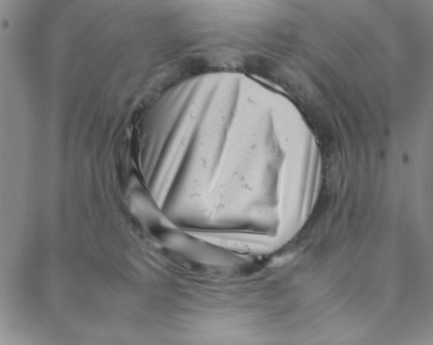 X0000088360229200706191226