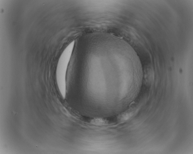 X0000088360231200706191226