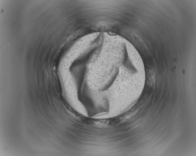X0000088360232200706191226