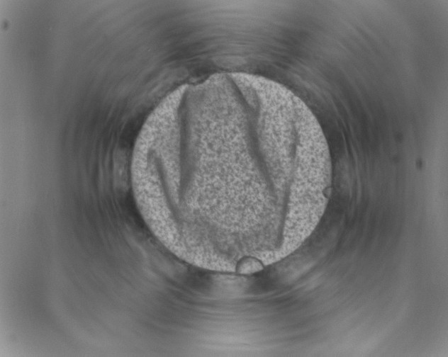 X0000088360234200706191226