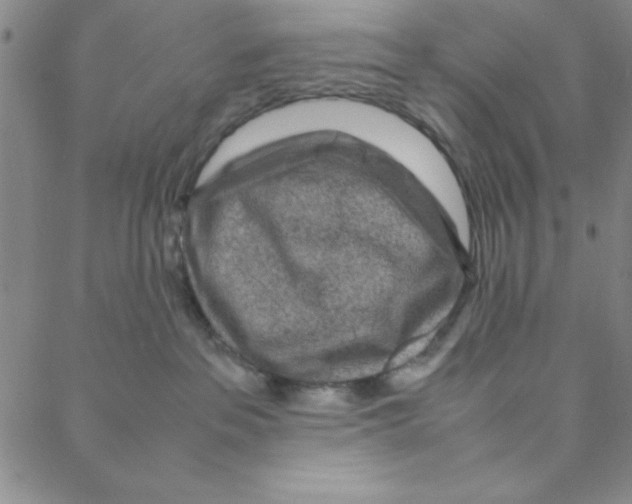 X0000088360237200706191226