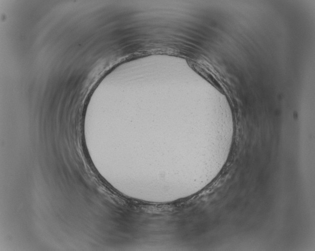 X0000088360241200706191225