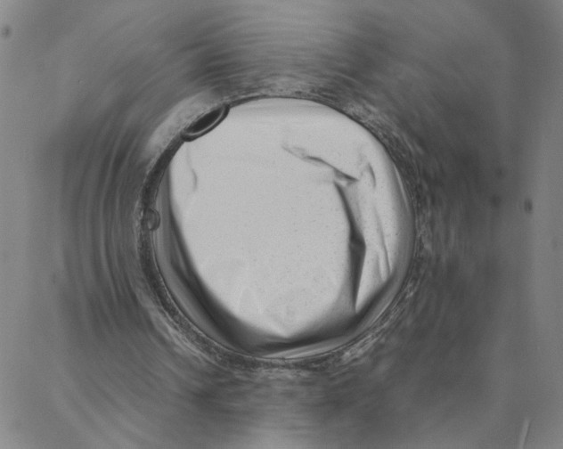 X0000088360242200706191225
