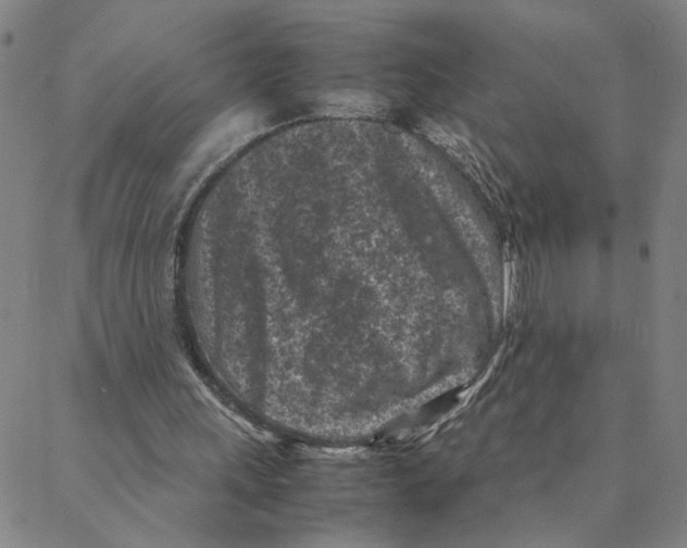 X0000088360243200706191225