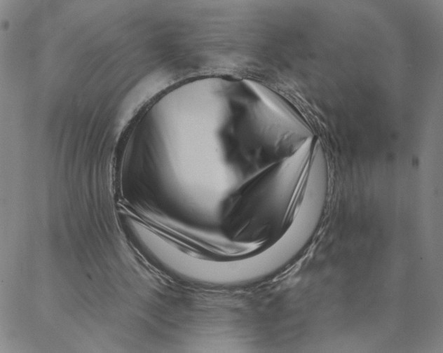 X0000088360244200706191225
