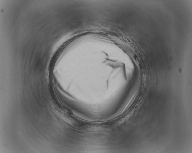 X0000088360246200706191225