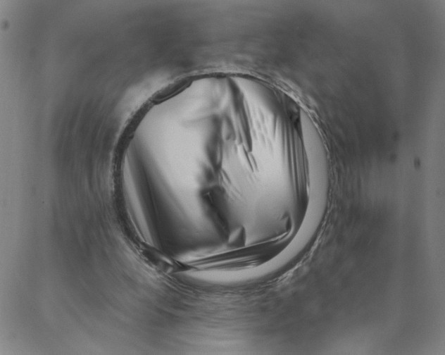X0000088360248200706191225
