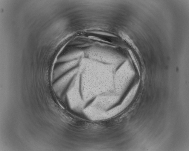 X0000088360249200706191225