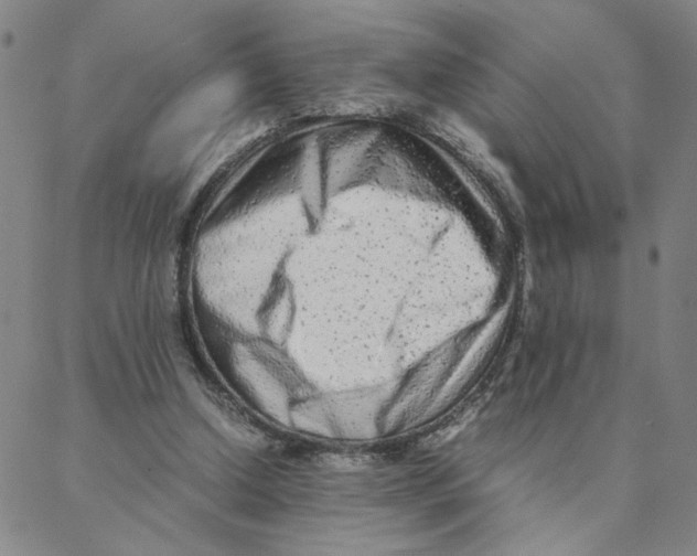 X0000088360250200706191225