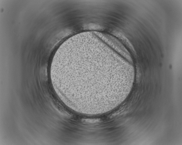 X0000088360251200706191225