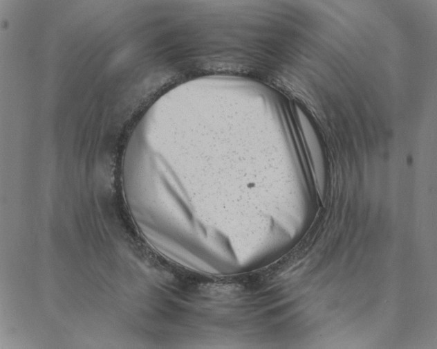 X0000088360255200706191225