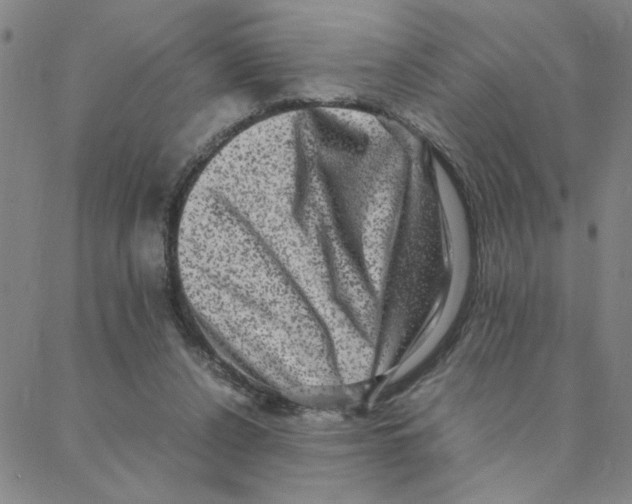 X0000088360256200706191225