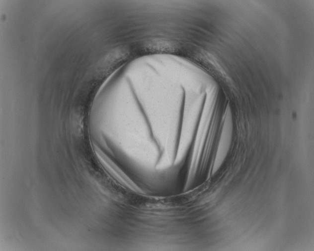 X0000088360259200706191225