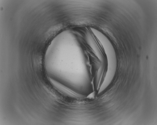 X0000088360260200706191225