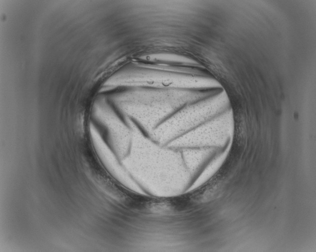 X0000088360262200706191225