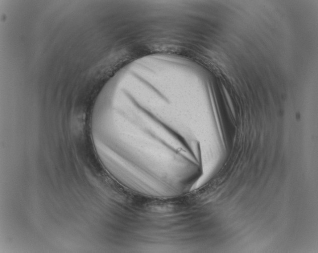 X0000088360263200706191225